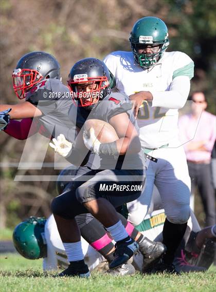Thumbnail 2 in Dulaney @ Dundalk photogallery.