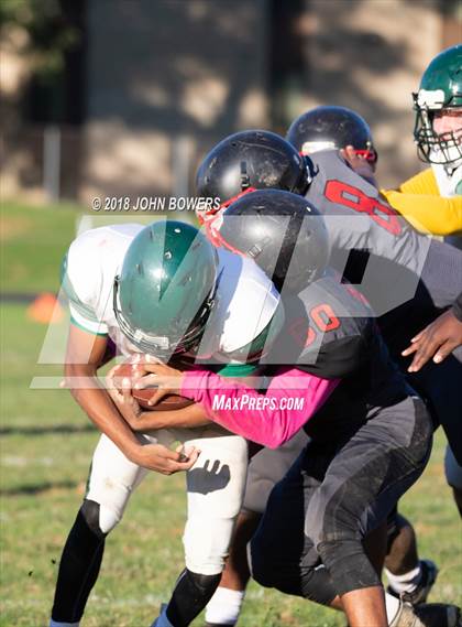 Thumbnail 1 in Dulaney @ Dundalk photogallery.