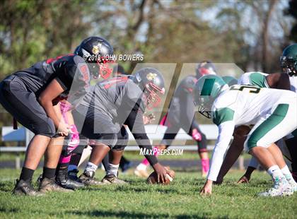 Thumbnail 3 in Dulaney @ Dundalk photogallery.