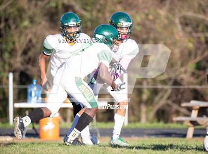 Thumbnail 3 in Dulaney @ Dundalk photogallery.
