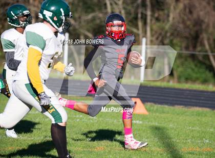 Thumbnail 3 in Dulaney @ Dundalk photogallery.