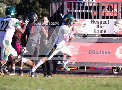 Thumbnail 1 in Dulaney @ Dundalk photogallery.