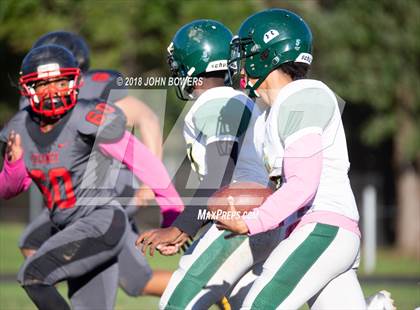 Thumbnail 2 in Dulaney @ Dundalk photogallery.