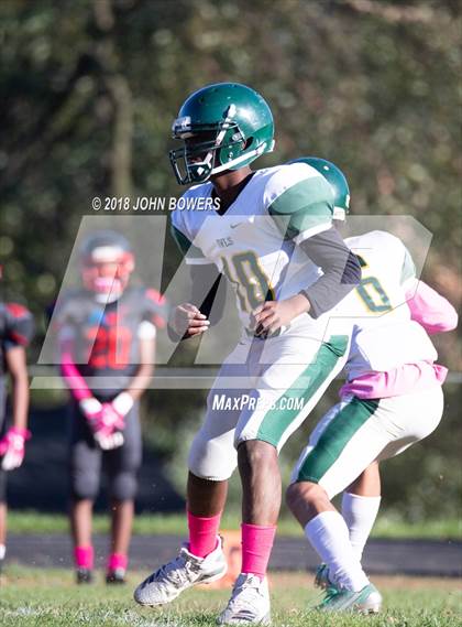 Thumbnail 3 in Dulaney @ Dundalk photogallery.