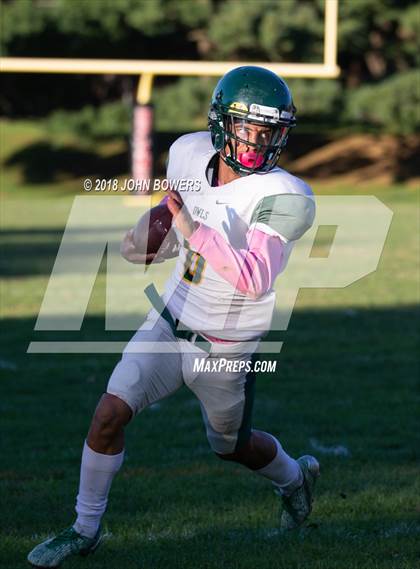 Thumbnail 1 in Dulaney @ Dundalk photogallery.