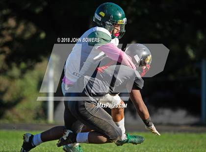 Thumbnail 1 in Dulaney @ Dundalk photogallery.
