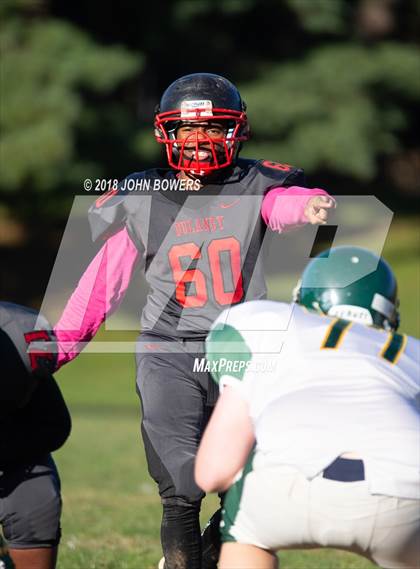 Thumbnail 3 in Dulaney @ Dundalk photogallery.