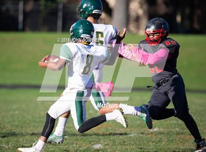 Thumbnail 3 in Dulaney @ Dundalk photogallery.