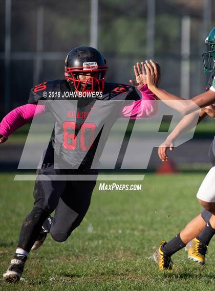 Thumbnail 2 in Dulaney @ Dundalk photogallery.