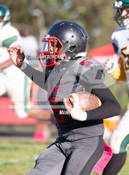 Thumbnail 2 in Dulaney @ Dundalk photogallery.