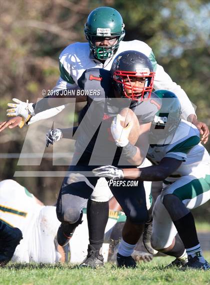 Thumbnail 1 in Dulaney @ Dundalk photogallery.