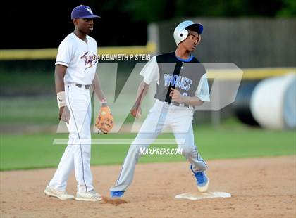 Thumbnail 3 in Bourgeois @ Thibodaux photogallery.