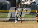 Photo from the gallery "Westover @ Pine Forest"