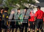 Photo from the gallery "Westover @ Pine Forest"