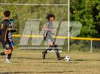 Photo from the gallery "Westover @ Pine Forest"