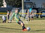 Photo from the gallery "Westover @ Pine Forest"