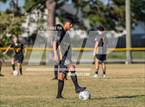 Photo from the gallery "Westover @ Pine Forest"