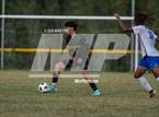 Photo from the gallery "Westover @ Pine Forest"