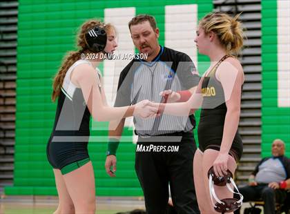 Thumbnail 1 in Eldorado vs Virgin Valley photogallery.