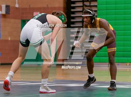 Thumbnail 1 in Eldorado vs Virgin Valley photogallery.