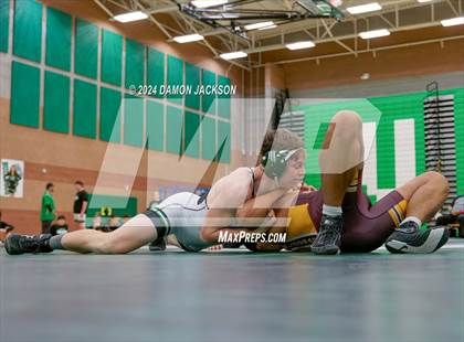 Thumbnail 2 in Eldorado vs Virgin Valley photogallery.