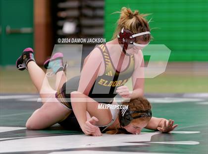 Thumbnail 3 in Eldorado vs Virgin Valley photogallery.