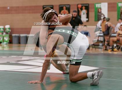 Thumbnail 2 in Eldorado vs Virgin Valley photogallery.