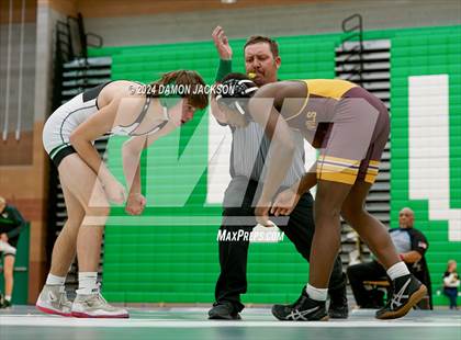 Thumbnail 1 in Eldorado vs Virgin Valley photogallery.