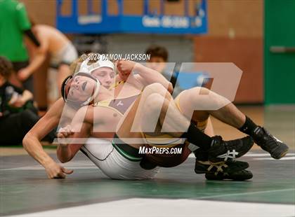 Thumbnail 1 in Eldorado vs Virgin Valley photogallery.