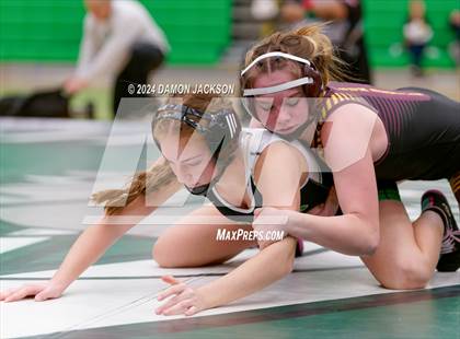 Thumbnail 1 in Eldorado vs Virgin Valley photogallery.