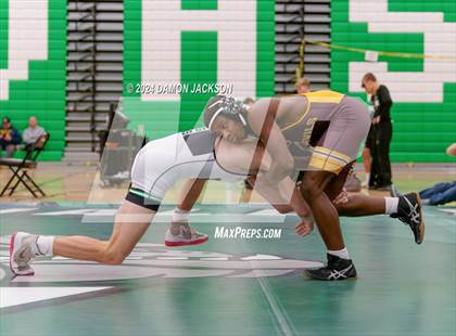 Thumbnail 3 in Eldorado vs Virgin Valley photogallery.