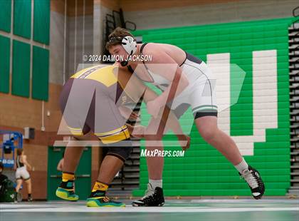 Thumbnail 2 in Eldorado vs Virgin Valley photogallery.