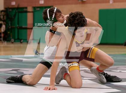 Thumbnail 1 in Eldorado vs Virgin Valley photogallery.