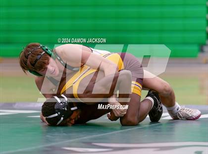 Thumbnail 2 in Eldorado vs Virgin Valley photogallery.