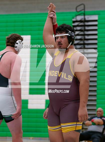 Thumbnail 2 in Eldorado vs Virgin Valley photogallery.