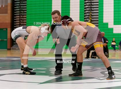 Thumbnail 1 in Eldorado vs Virgin Valley photogallery.
