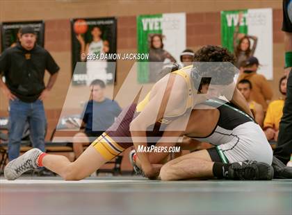 Thumbnail 2 in Eldorado vs Virgin Valley photogallery.
