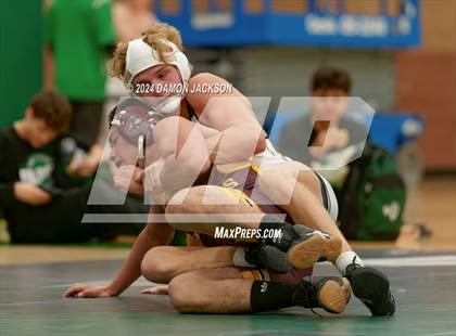 Thumbnail 2 in Eldorado vs Virgin Valley photogallery.