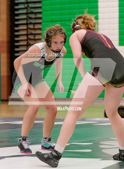 Thumbnail 2 in Eldorado vs Virgin Valley photogallery.