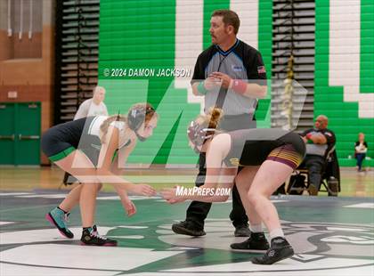 Thumbnail 1 in Eldorado vs Virgin Valley photogallery.