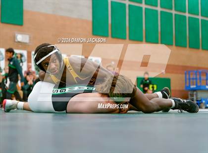 Thumbnail 2 in Eldorado vs Virgin Valley photogallery.