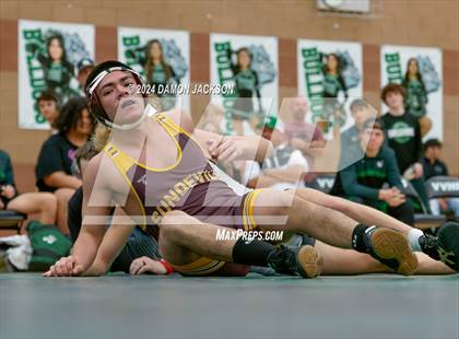Thumbnail 2 in Eldorado vs Virgin Valley photogallery.