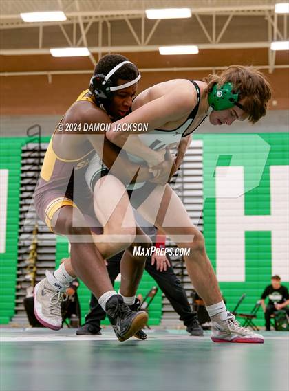 Thumbnail 1 in Eldorado vs Virgin Valley photogallery.