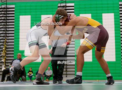 Thumbnail 1 in Eldorado vs Virgin Valley photogallery.