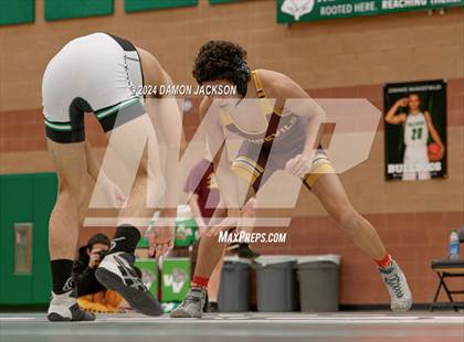 Thumbnail 3 in Eldorado vs Virgin Valley photogallery.