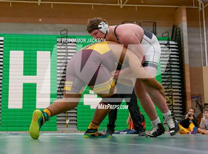 Thumbnail 1 in Eldorado vs Virgin Valley photogallery.