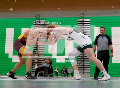 Thumbnail 1 in Eldorado vs Virgin Valley photogallery.