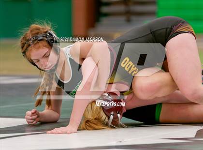 Thumbnail 1 in Eldorado vs Virgin Valley photogallery.