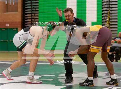 Thumbnail 1 in Eldorado vs Virgin Valley photogallery.