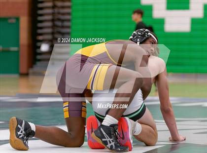 Thumbnail 1 in Eldorado vs Virgin Valley photogallery.